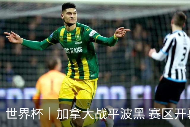 世界杯｜加拿大战平波黑 赛区开幕式表演“翻车”
